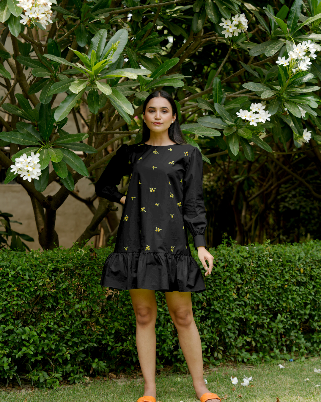 Arushi Hand-Embroidered Short Dress