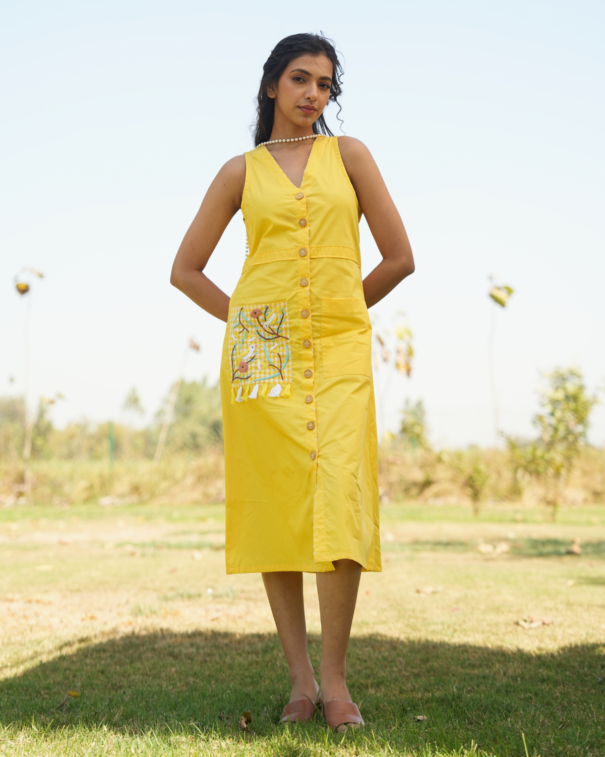 Divissha Hand-Embroidered Midi Dress