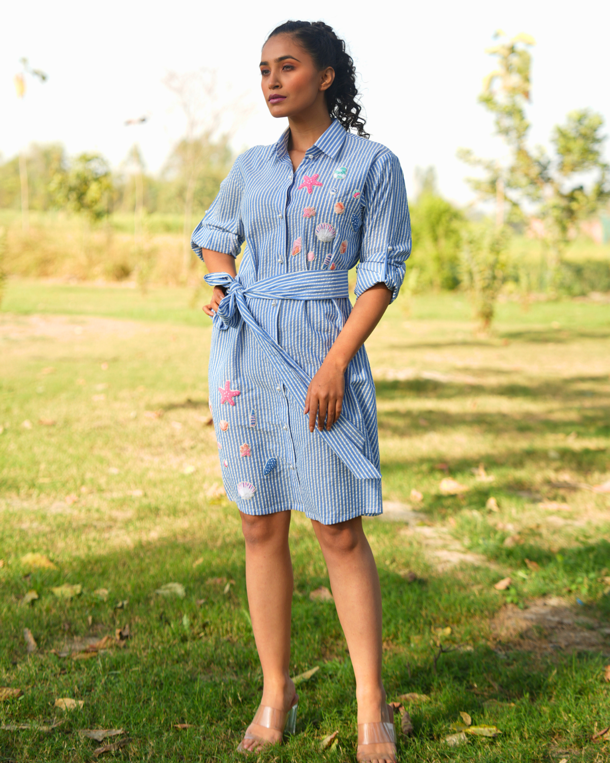 Rishika Hand-Embroidered Shirt Dress