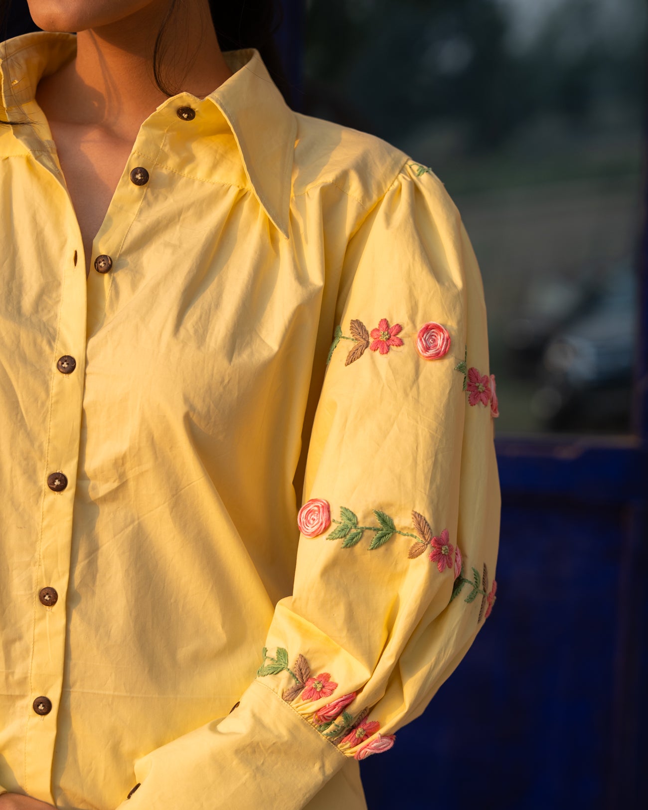 Deviinaa Hand-Embroidered Shirt