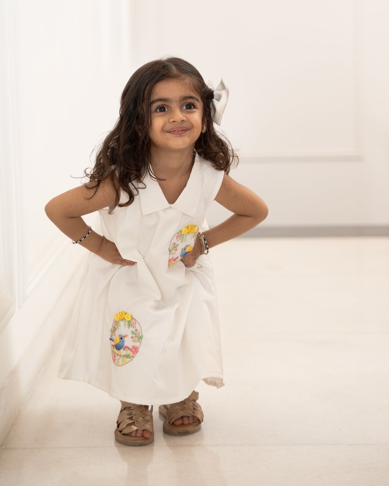 Baani Hand-Embroidered Dress
