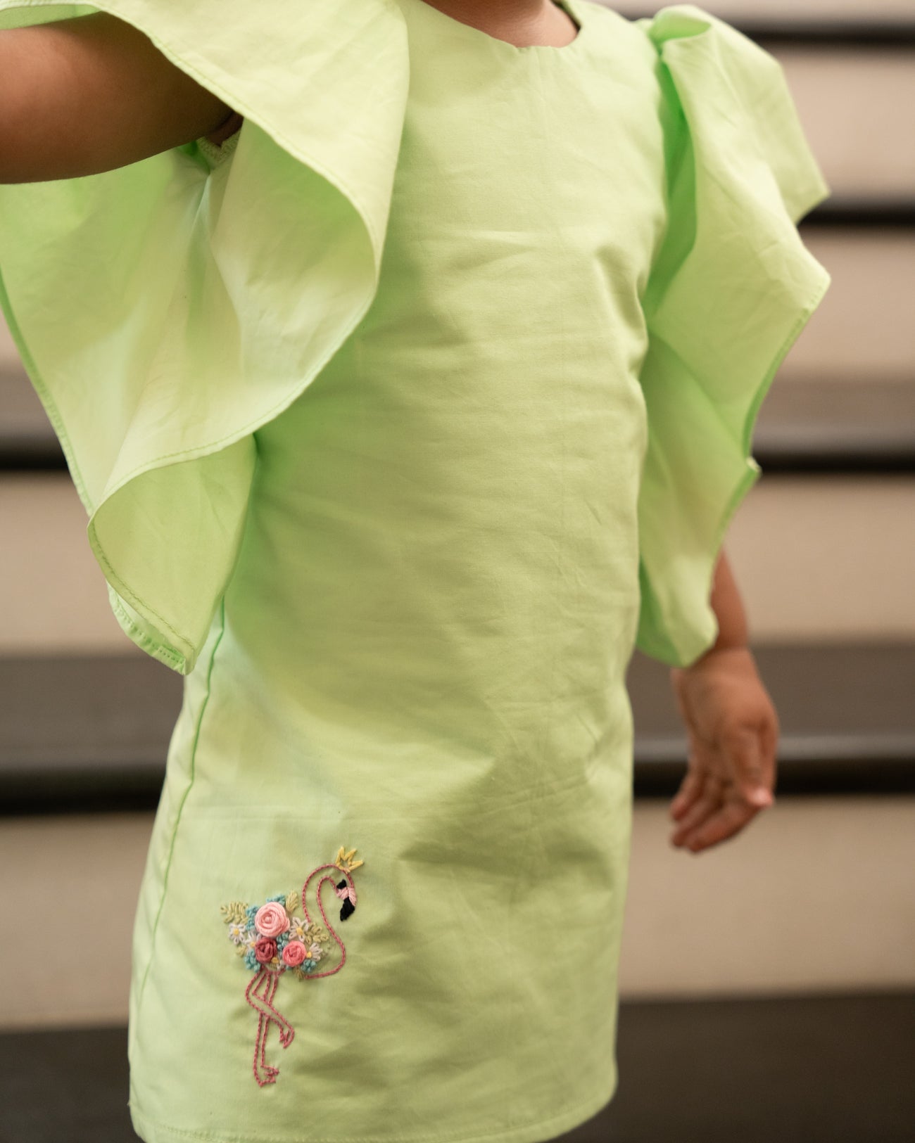 Raha Hand-Embroidered Dress